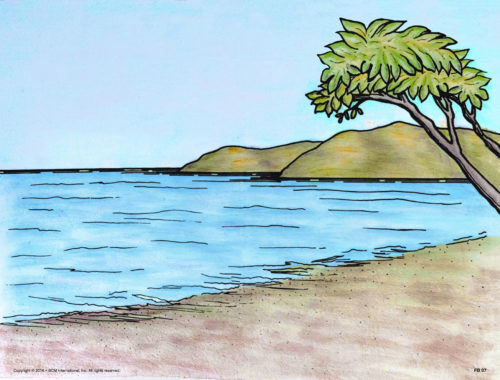 Land and Sea - Felt Background (Full Color) - Image 2