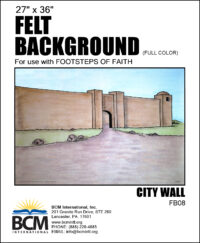 City Wall - Felt Background (Full Color)