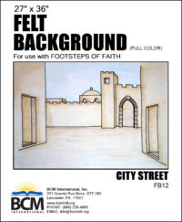 City Street - Felt Background (Full Color)