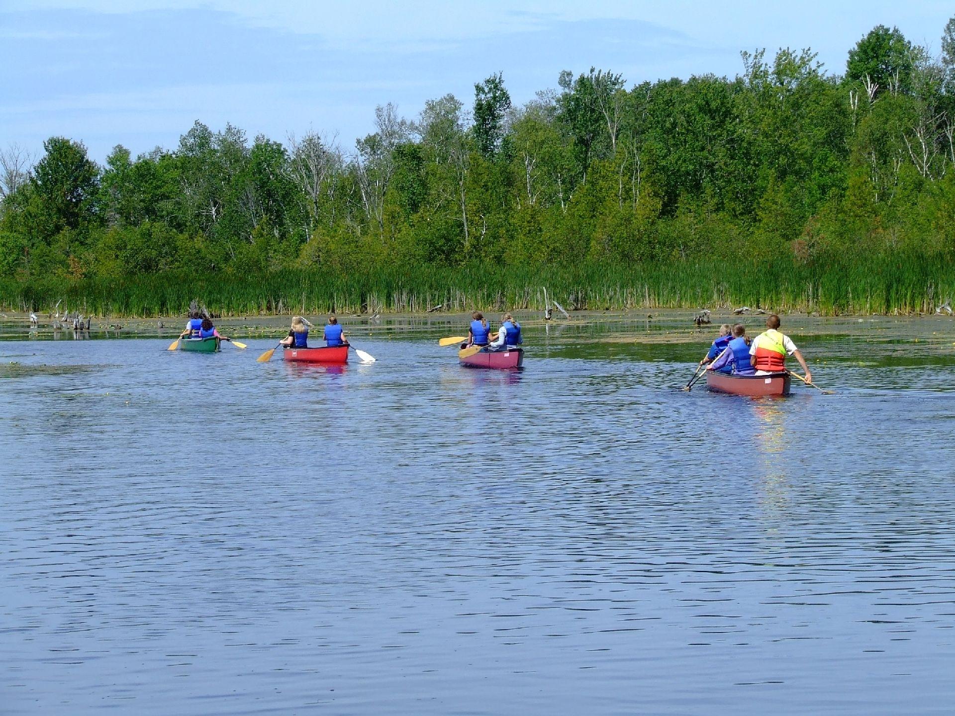 Mill Stream Camp