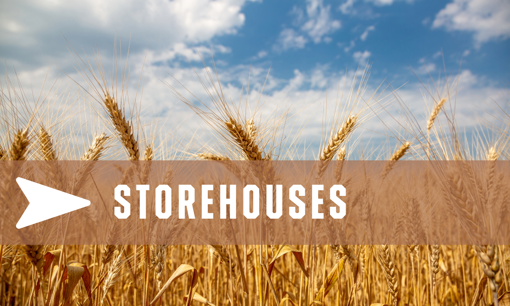 Egypt Trip 2026-4 Grainfields with "Storehouses" text